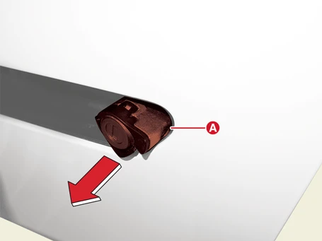 Kia EV6. Front Door Outside Handle